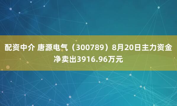 配资中介 唐源电气（300789）8月20日主力资金净卖出3916.96万元