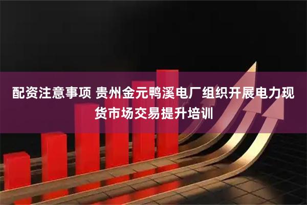 配资注意事项 贵州金元鸭溪电厂组织开展电力现货市场交易提升培训