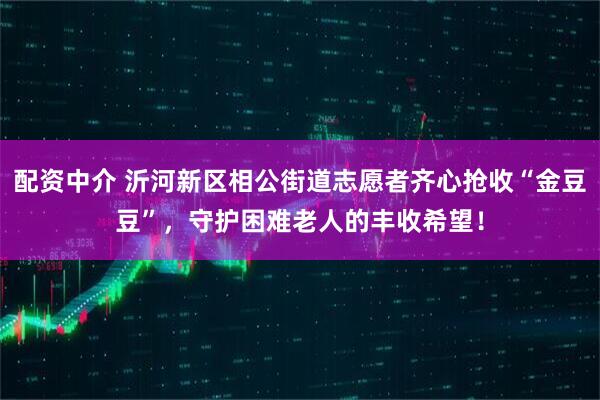 配资中介 沂河新区相公街道志愿者齐心抢收“金豆豆”，守护困难老人的丰收希望！